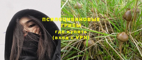 спайс Абинск
